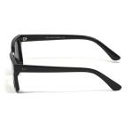 Zuker Sunglasses 3109